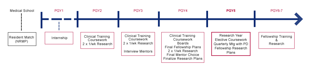Penn Radiology Residency Research Track Timeline graphic